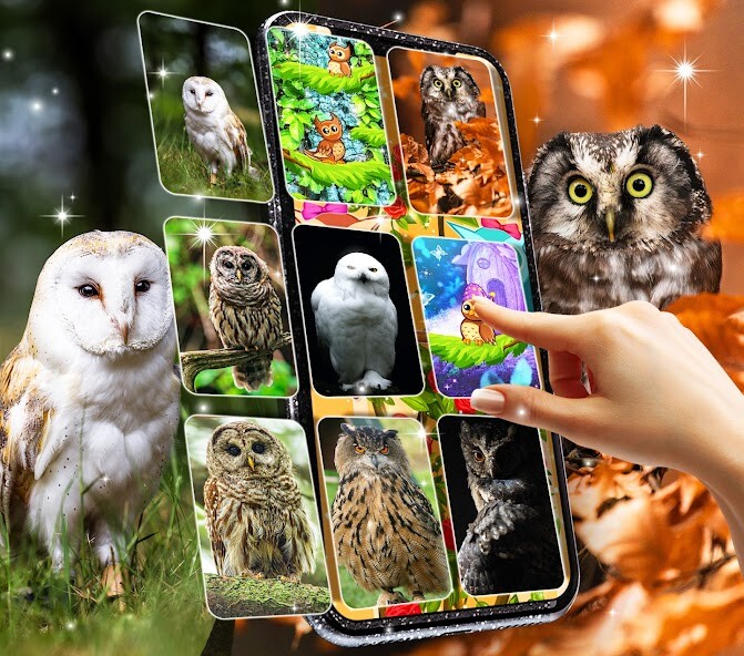 Emulate Android APK Owl Live Wallpaper Emulate Android APK Owl Live Wallpaper