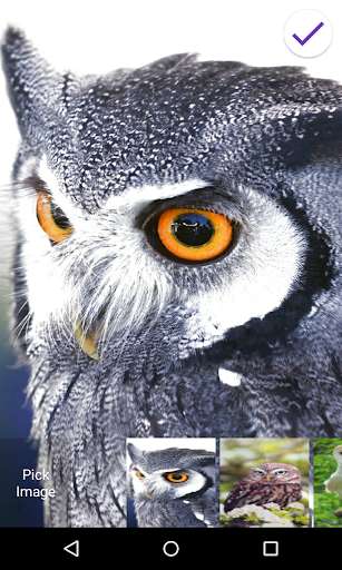 Emulate Android APK Owl Lock Screen