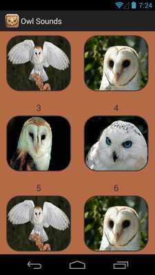 Emulate Android APK Owl Sound Collection Emulate Android APK Owl Sound Collection