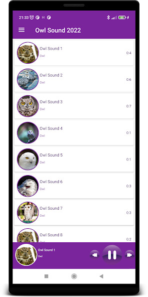 Run android online APK Owl Sounds 2022 from MyAndroid or emulate Owl Sounds 2022 using MyAndroid