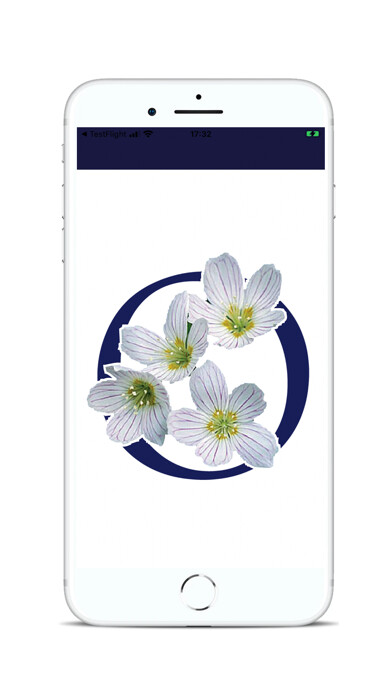 Emulate iPhone app Oxalis Osteopathy using MyAndroid Emulate iPhone app Oxalis Osteopathy using MyAndroid