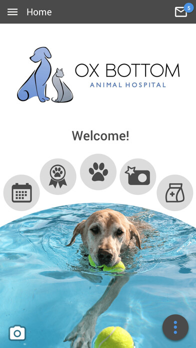 Emulate iPhone app Ox Bottom AH using MyAndroid Emulate iPhone app Ox Bottom AH using MyAndroid
