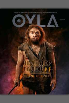 Emulate Android APK OYLA Emulate Android APK OYLA