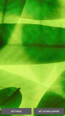 Emulate Android APK P10 Live Wallpapers - Huawei