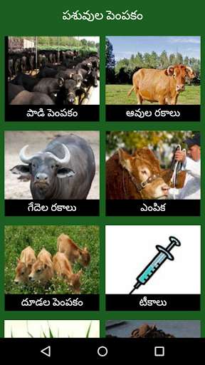 Emulate Android APK Paadi Parisrama Dairy Farming Telugu Emulate Android APK Paadi Parisrama Dairy Farming Telugu