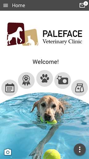Run android online APK Paleface Vet Clinic from MyAndroid or emulate Paleface Vet Clinic using MyAndroid Run android online APK Paleface Vet Clinic from MyAndroid or emulate Paleface Vet Clinic using MyAndroid