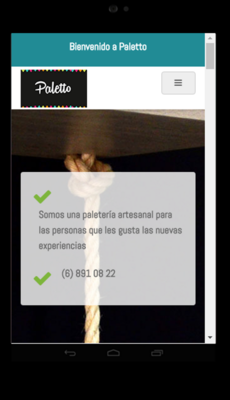Emulate Android APK Paletto App Emulate Android APK Paletto App