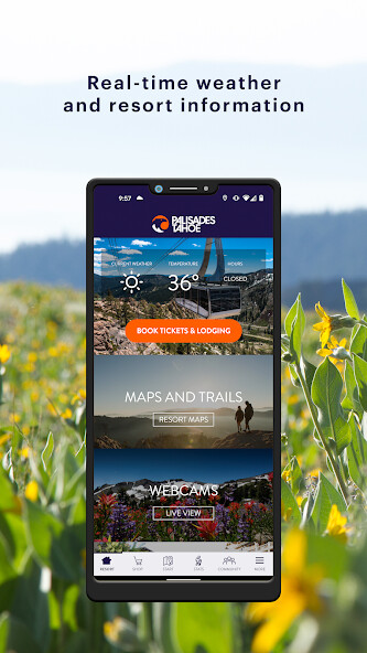 Run android online APK Palisades Tahoe from MyAndroid or emulate Palisades Tahoe using MyAndroid Run android online APK Palisades Tahoe from MyAndroid or emulate Palisades Tahoe using MyAndroid