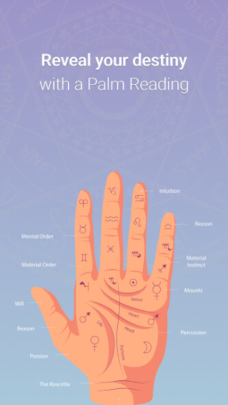 Run android online APK Palm Reader- Live Hand Reading from MyAndroid or emulate Palm Reader- Live Hand Reading using MyAndroid Run android online APK Palm Reader- Live Hand Reading from MyAndroid or emulate Palm Reader- Live Hand Reading using MyAndroid
