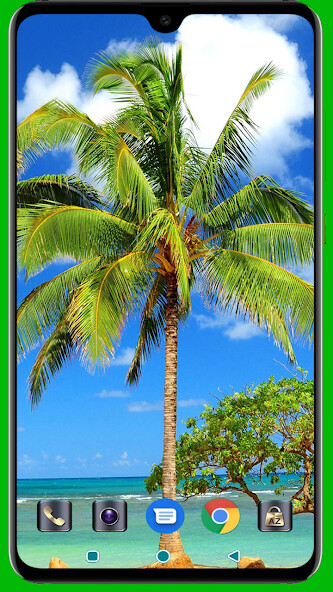 Run android online APK Palm Springs Wallpaper from MyAndroid or emulate Palm Springs Wallpaper using MyAndroid