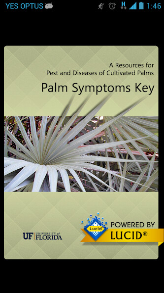 Run android online APK Palm Symptoms Key from MyAndroid or emulate Palm Symptoms Key using MyAndroid Run android online APK Palm Symptoms Key from MyAndroid or emulate Palm Symptoms Key using MyAndroid