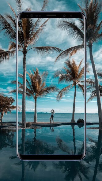 Run android online APK Palm Tree Wallpapers and Background from MyAndroid or emulate Palm Tree Wallpapers and Background using MyAndroid Run android online APK Palm Tree Wallpapers and Background from MyAndroid or emulate Palm Tree Wallpapers and Background using MyAndroid