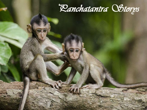 Run android online APK Panchatantra Storys from MyAndroid or emulate Panchatantra Storys using MyAndroid