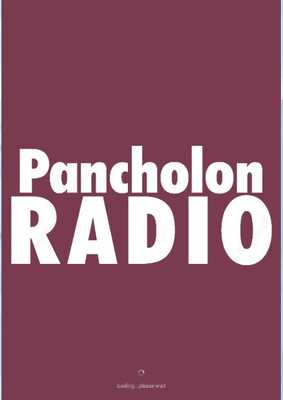 Emulate Android APK Pancholon Radio