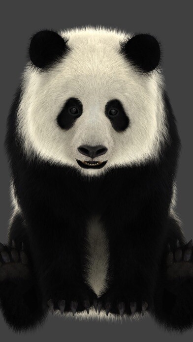 Emulate iPhone app Panda AR using MyAndroid