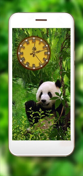 Run android online APK Panda Jungles Clock from MyAndroid or emulate Panda Jungles Clock using MyAndroid Run android online APK Panda Jungles Clock from MyAndroid or emulate Panda Jungles Clock using MyAndroid