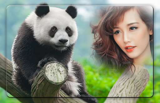 Run android online APK Panda Photo Frames from MyAndroid or emulate Panda Photo Frames using MyAndroid Run android online APK Panda Photo Frames from MyAndroid or emulate Panda Photo Frames using MyAndroid
