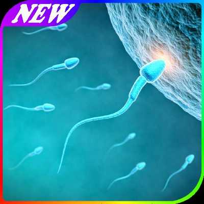 Emulate Android APK Panduan Tips Cara Cepat Hamil