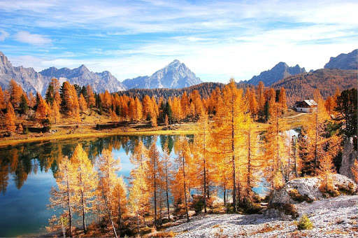 Emulate Android APK Panorama Wallpapers