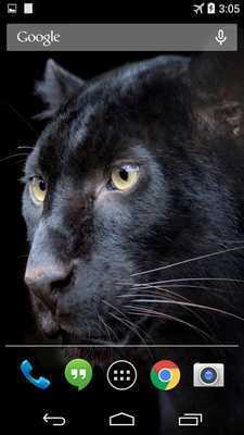 Emulate Android APK Pantera Live Wallpaper FREE Emulate Android APK Pantera Live Wallpaper FREE