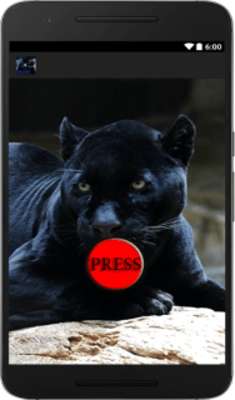 Emulate Android APK Panther leopard animal sounds