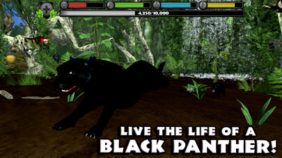 Emulate iPhone app Panther Simulator using MyAndroid