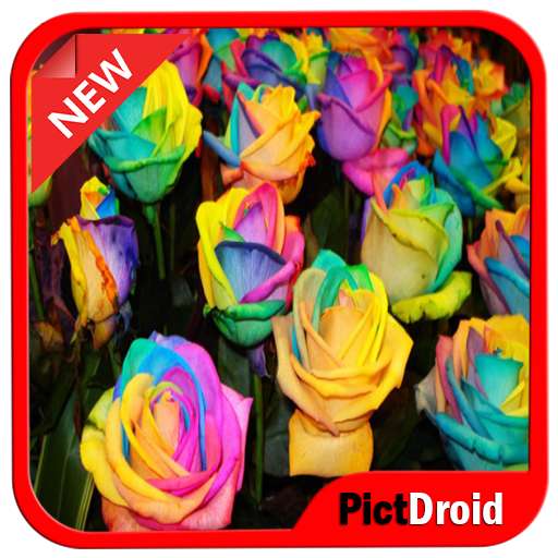 Run android online APK Paper Flower Craft Tutorial from MyAndroid or emulate Paper Flower Craft Tutorial using MyAndroid Run android online APK Paper Flower Craft Tutorial from MyAndroid or emulate Paper Flower Craft Tutorial using MyAndroid