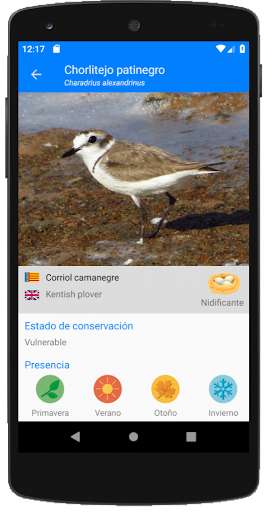 Run android online APK Parc Natural de la Mata - Torrevieja from MyAndroid or emulate Parc Natural de la Mata - Torrevieja using MyAndroid