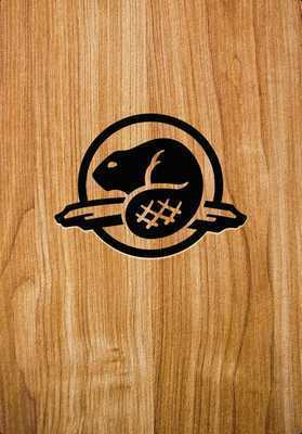 Emulate Android APK Parks Canada Learn to Camp