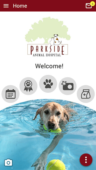 Run android online APK Parkside Pets from MyAndroid or emulate Parkside Pets using MyAndroid Run android online APK Parkside Pets from MyAndroid or emulate Parkside Pets using MyAndroid