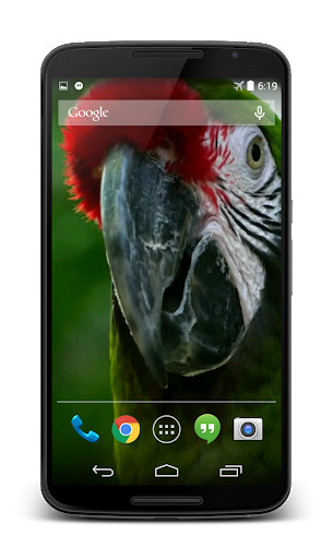 Emulate Android APK Parrot 3D Video Live Wallpaper