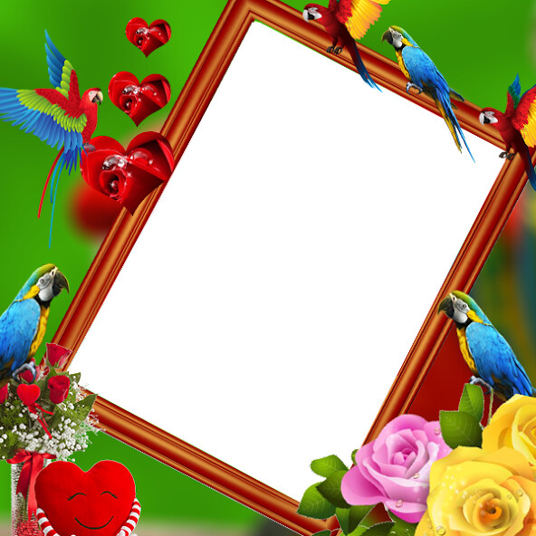 Run android online APK Parrot Insta DP from MyAndroid or emulate Parrot Insta DP using MyAndroid Run android online APK Parrot Insta DP from MyAndroid or emulate Parrot Insta DP using MyAndroid