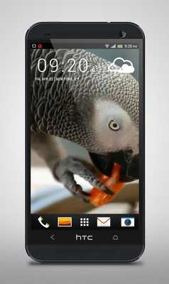 Emulate Android APK Parrot like Mandarin LiveWP Emulate Android APK Parrot like Mandarin LiveWP