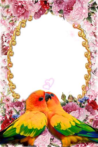 Run android online APK Parrot Lovely Photo Frames from MyAndroid or emulate Parrot Lovely Photo Frames using MyAndroid Run android online APK Parrot Lovely Photo Frames from MyAndroid or emulate Parrot Lovely Photo Frames using MyAndroid