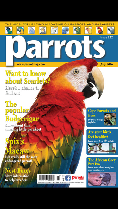 Emulate iPhone app Parrots magazine using MyAndroid