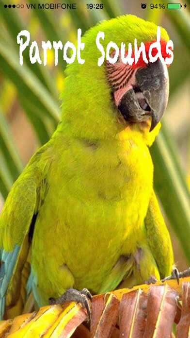 Emulate iPhone app Parrot Sounds - Cockatoo,Caique,Kakariki using MyAndroid Emulate iPhone app Parrot Sounds - Cockatoo,Caique,Kakariki using MyAndroid