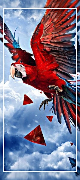 Run android online APK parrot wallpaper full hd from MyAndroid or emulate parrot wallpaper full hd using MyAndroid Run android online APK parrot wallpaper full hd from MyAndroid or emulate parrot wallpaper full hd using MyAndroid