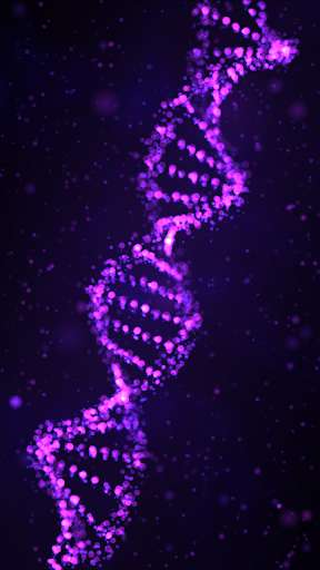 Run android online APK Particle DNA Live Wallpaper from MyAndroid or emulate Particle DNA Live Wallpaper using MyAndroid