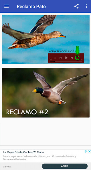 Run android online APK Pato Reclamo from MyAndroid or emulate Pato Reclamo using MyAndroid Run android online APK Pato Reclamo from MyAndroid or emulate Pato Reclamo using MyAndroid