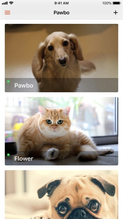Emulate iPhone app Pawbo Life using MyAndroid