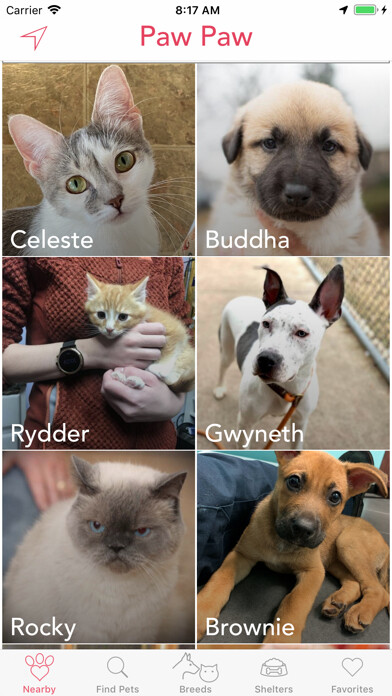 Emulate iPhone app Paw Paw - Pet Adoption using MyAndroid Emulate iPhone app Paw Paw - Pet Adoption using MyAndroid
