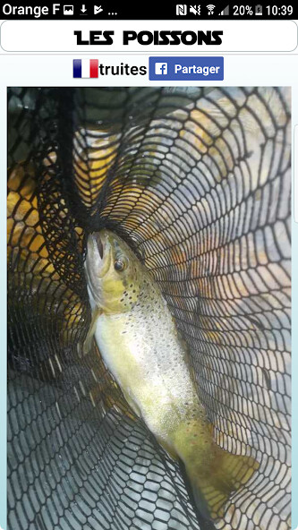 Run android online APK Pêche Poisson Compteur from MyAndroid or emulate Pêche Poisson Compteur using MyAndroid