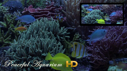 Emulate iPhone app Peaceful Aquarium HD using MyAndroid