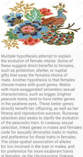 Run android online APK Peacock Bird Fact from MyAndroid or emulate Peacock Bird Fact using MyAndroid