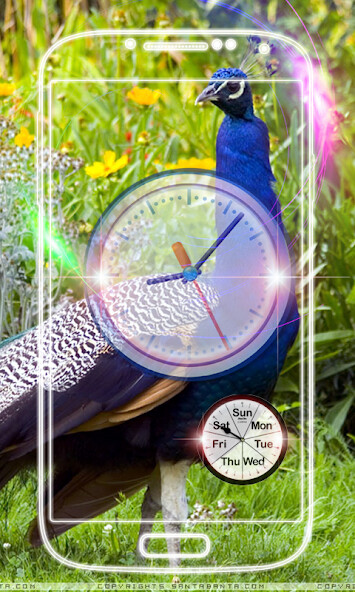 Run android online APK Peacock Clock Live Wallpaper from MyAndroid or emulate Peacock Clock Live Wallpaper using MyAndroid