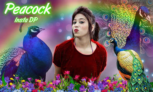 Run android online APK Peacock Insta DP Maker from MyAndroid or emulate Peacock Insta DP Maker using MyAndroid