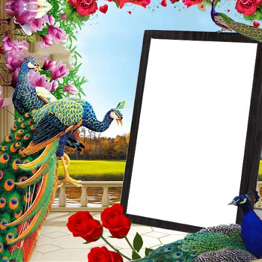Emulate Android APK Peacock Insta DP Emulate Android APK Peacock Insta DP