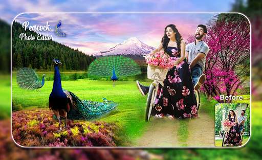 Run android online APK Peacock Photo Editor 2021 from MyAndroid or emulate Peacock Photo Editor 2021 using MyAndroid Run android online APK Peacock Photo Editor 2021 from MyAndroid or emulate Peacock Photo Editor 2021 using MyAndroid