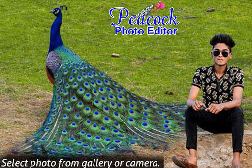 Emulate Android APK Peacock Photo Editor