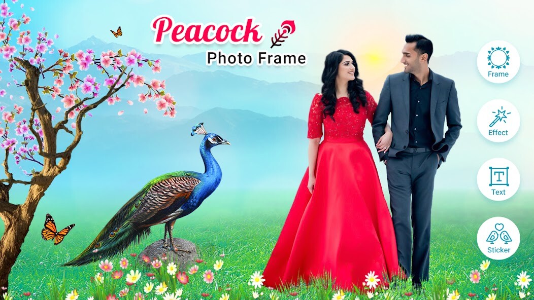 Run android online APK Peacock Photo Frame from MyAndroid or emulate Peacock Photo Frame using MyAndroid